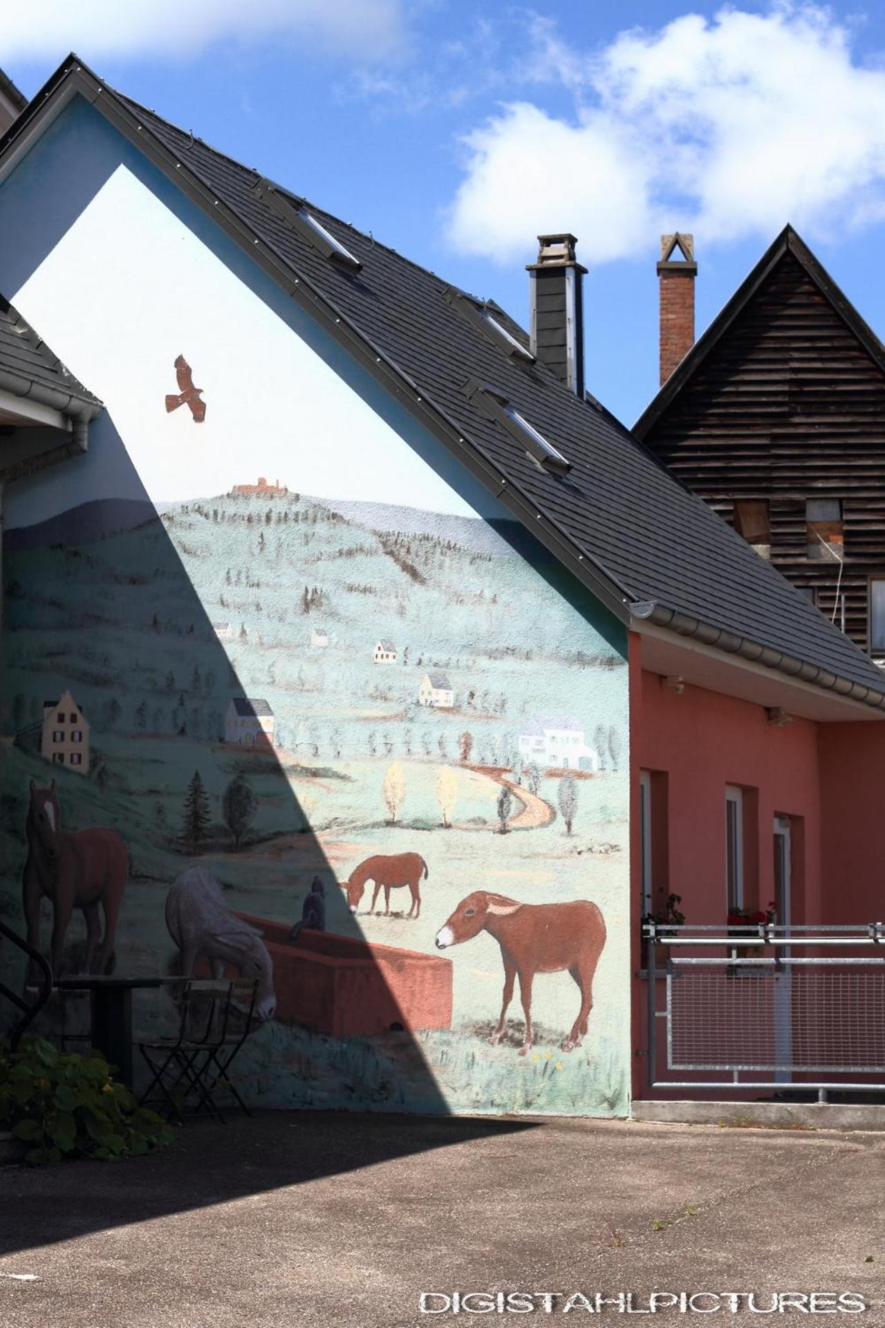 Gite A La Montagne Labaroche Eksteriør billede